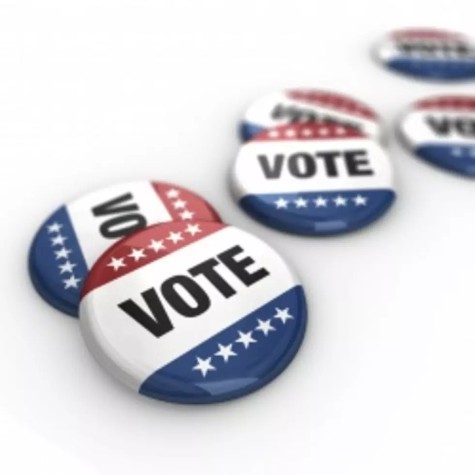 Ballots in Brief: Freeholder &#038; County Clerk