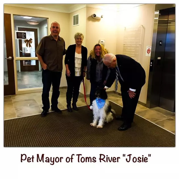Meet The Pet Mayor of Toms River