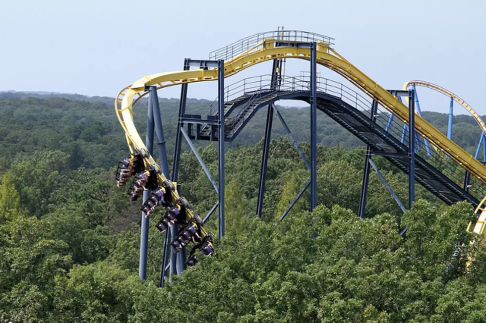 Six Flags Great Adventure gets OK for solar farm that will cut down 15,000 trees