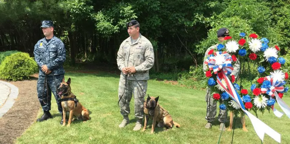 Menendez introduces military K9 medal legislation