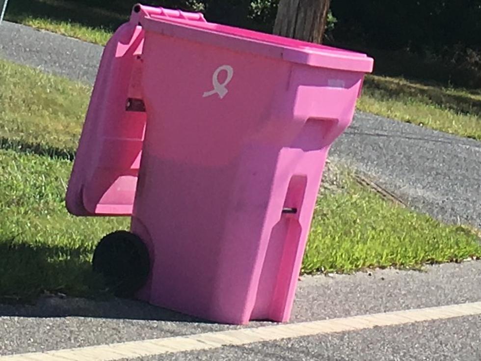 Pink Trash Cans in Ocean County