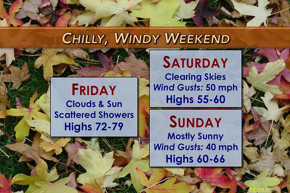 Falling back into autumn: windy and colder this weekend
