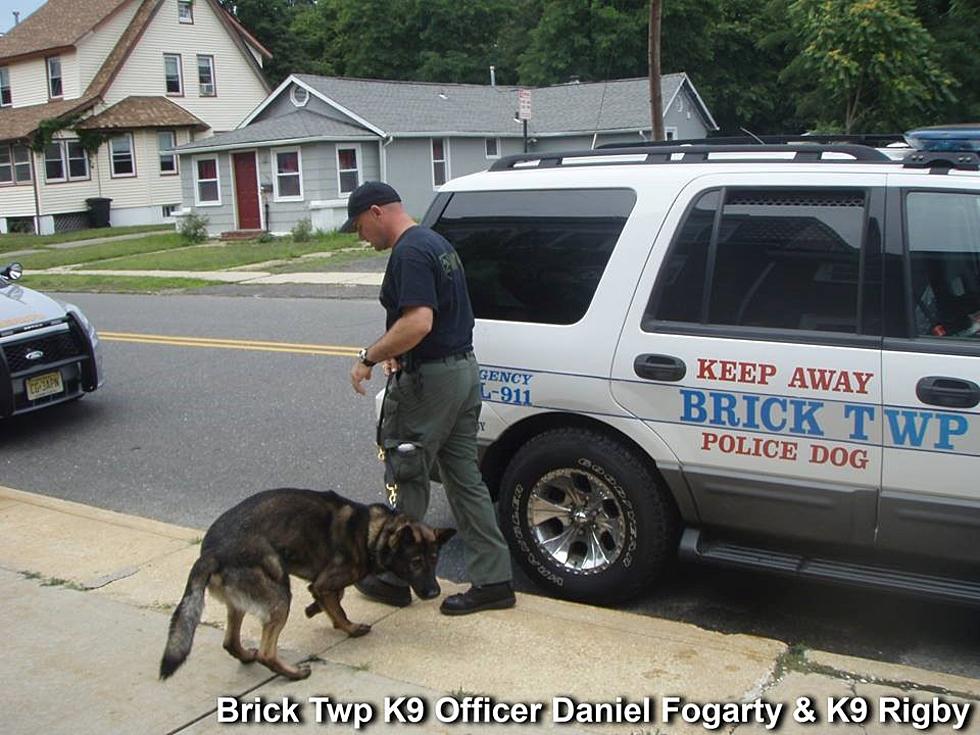 Ocean County Prosecutors Office &#8216;lets the dogs out&#8217;