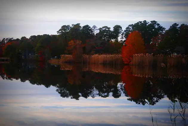 The Colors of Autumn: October Photography at the Jersey Shore [PHOTOS]