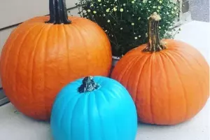 teal project halloween