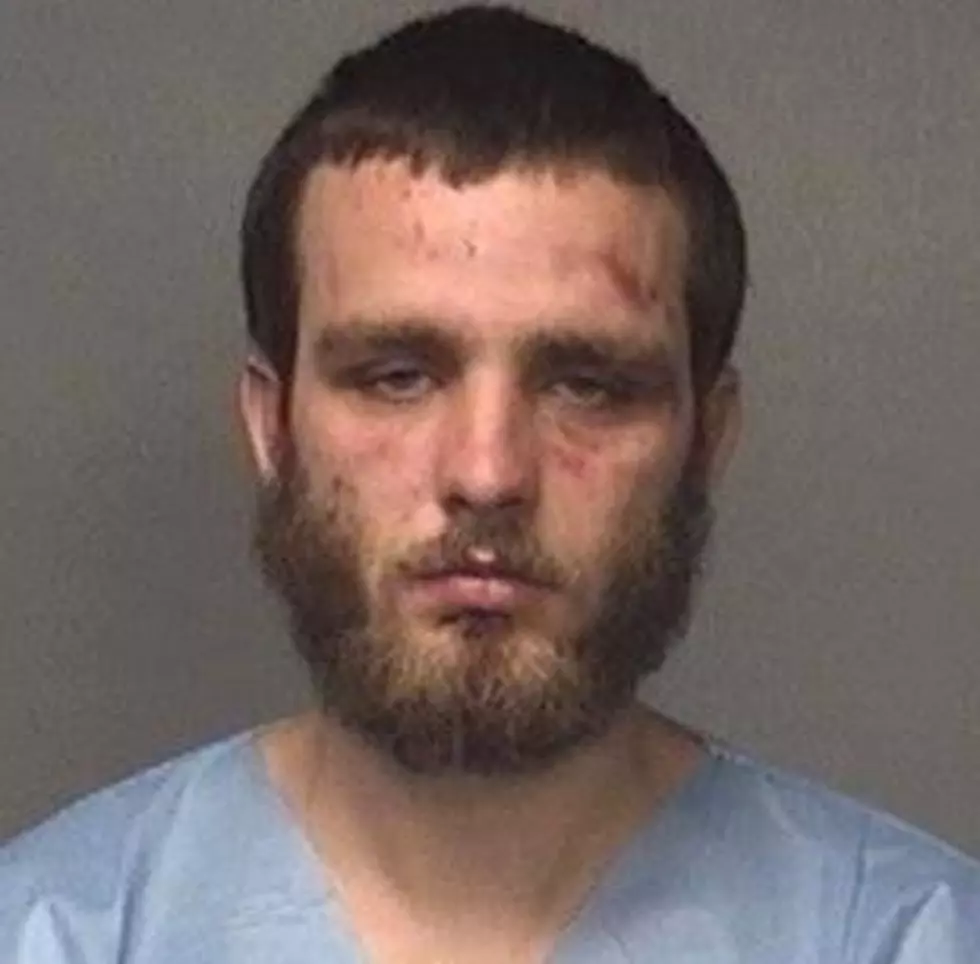 Delaware man punches girlfriend, assaults 2 Egg Harbor Police officers