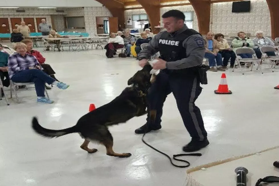 Manchester residents get front row seats for K-9 demonstration