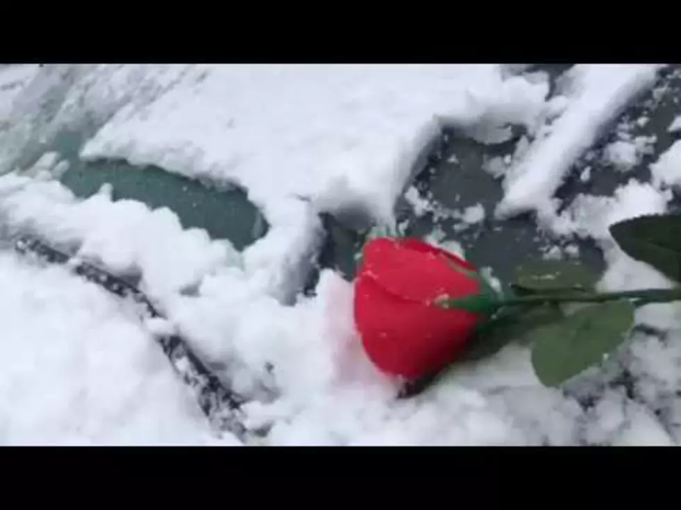 What To Do When You Forget Your Ice Scraper?  Get Creative!