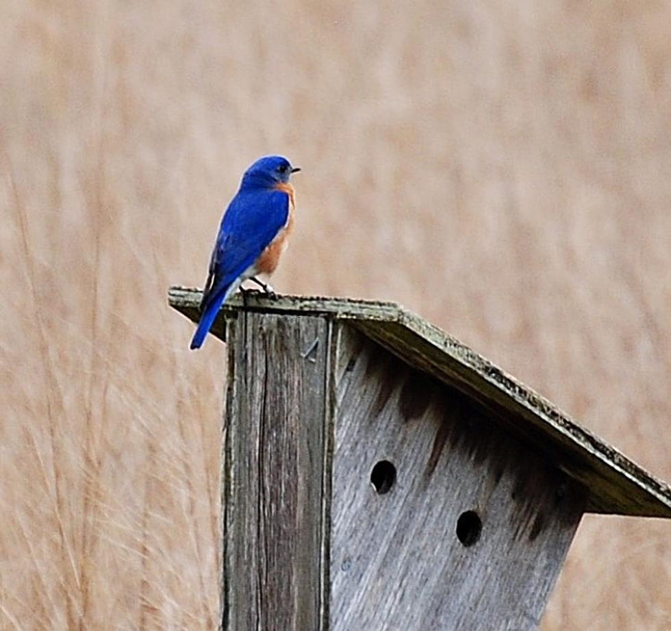 Hiking New Jersey: Edwin B Forsythe Nat&#8217;l Wildlife Refuge [VIDEO]