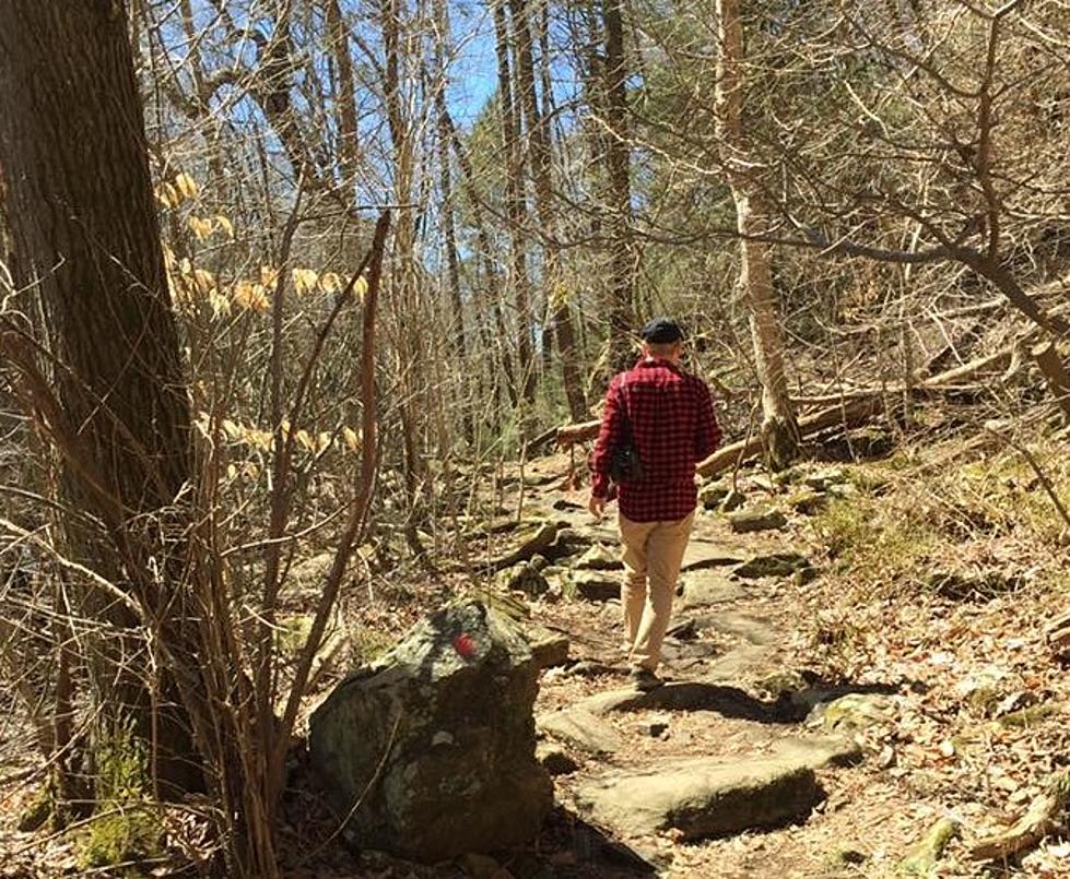 Hiking New Jersey: Hacklebarney State Park [VIDEO]