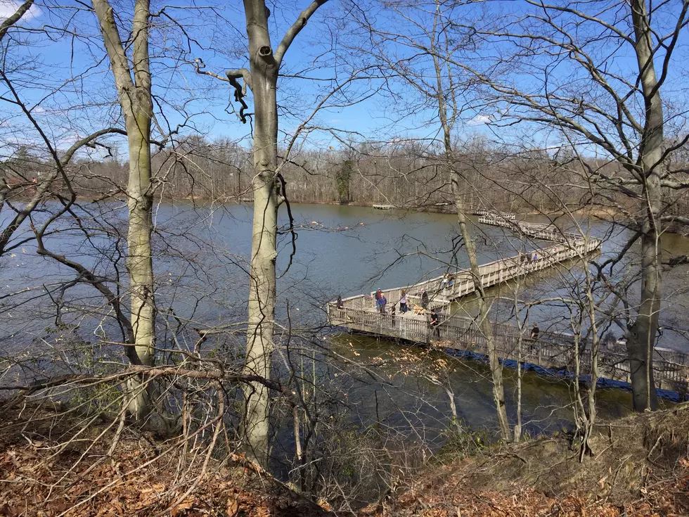 Hiking NJ: Smithville Park 