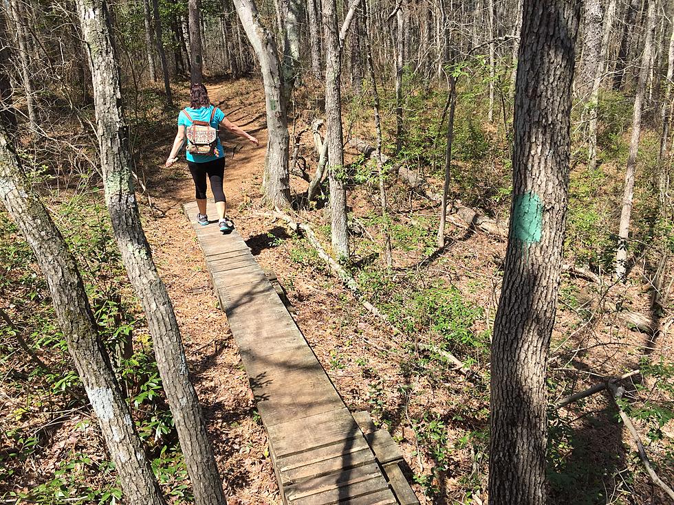 Hiking New Jersey: Wells Mills County Park in Waretown [VIDEO]