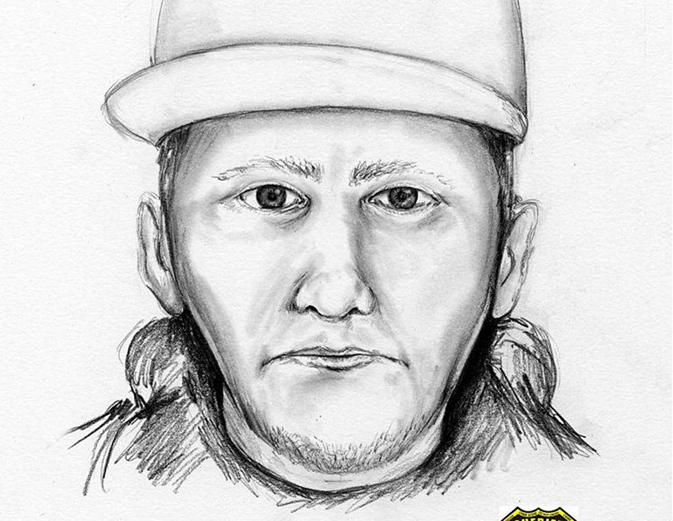 Syringe-wielding Jackson bandit&#8217;s sketch issued as suspect hunt continues