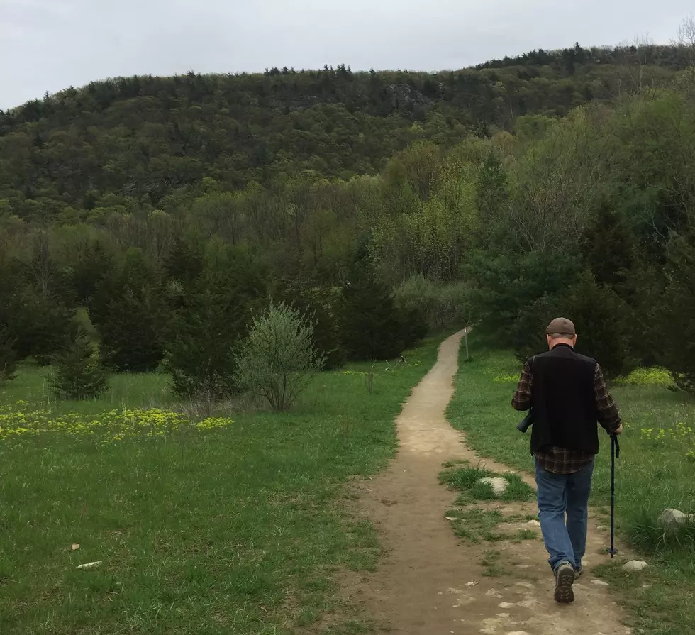 Hiking New Jersey