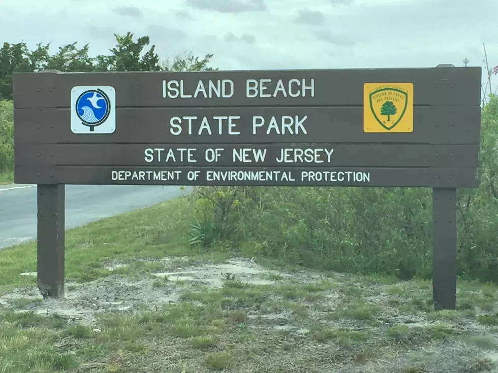 Hiking New Jersey: Island Beach State Park [VIDEO]