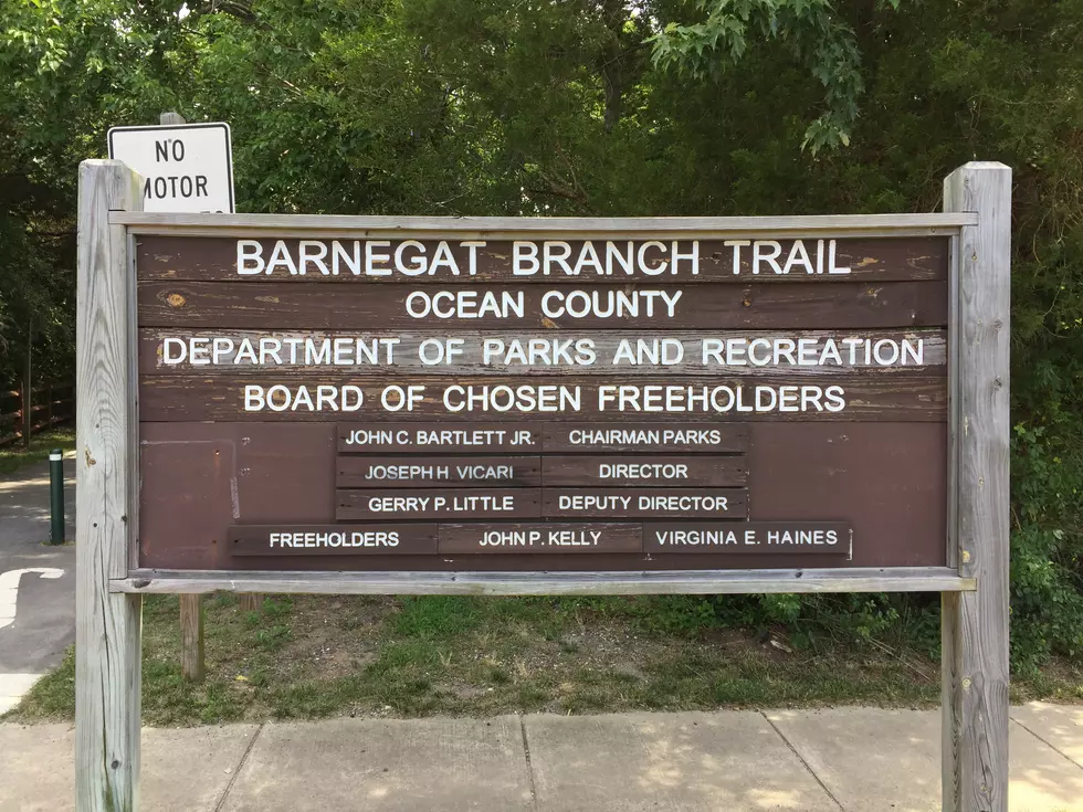 Hiking NJ: Barnegat Branch Trail
