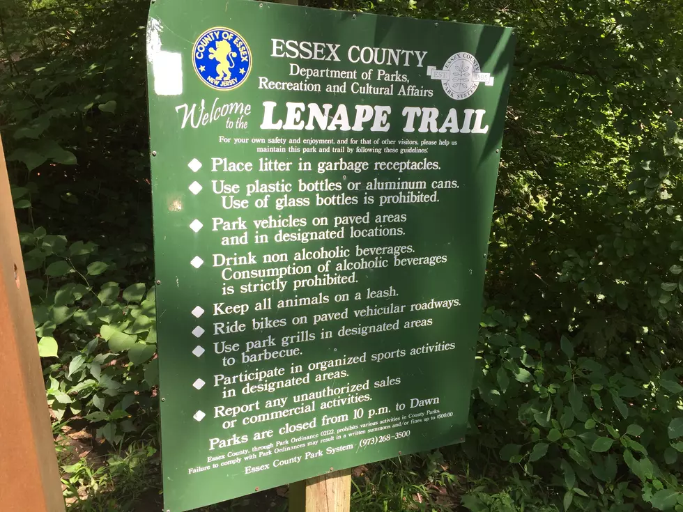Hiking New Jersey: The Lenape Trail [VIDEO]