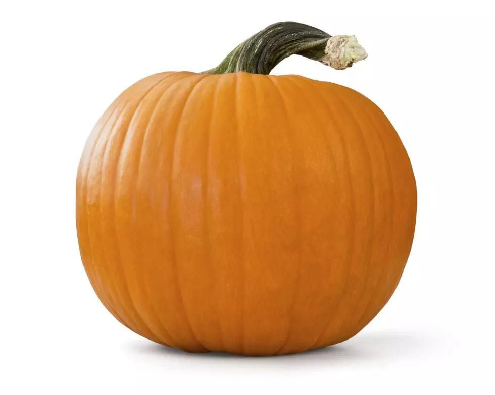 Ready For Some Pumpkin?