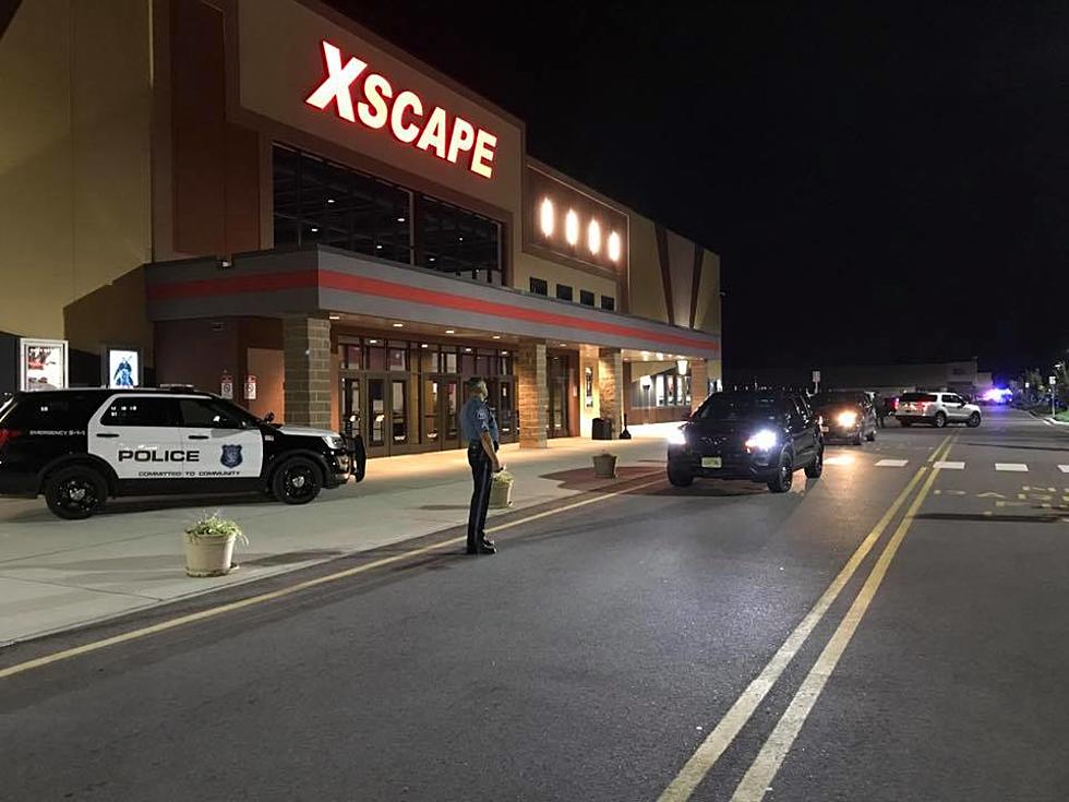 Inert grenade, two handguns found in car at Howell theater