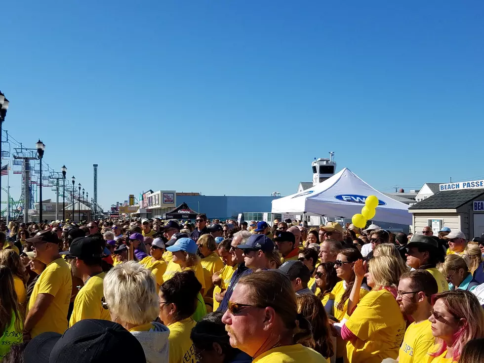 Hundreds gather for 4th annual Hope Sheds Light Celebration of Hope Walk