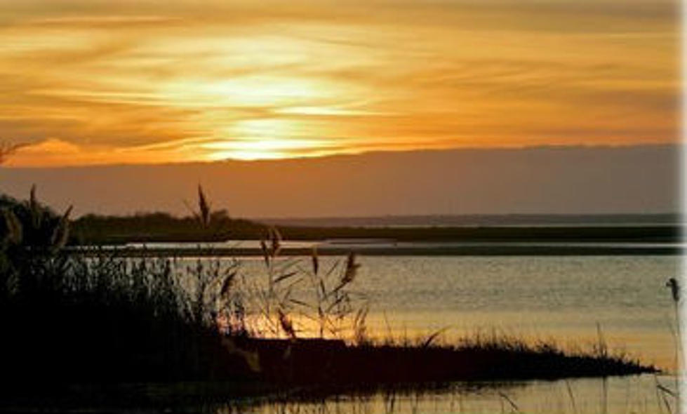 Lifeguards at Island Beach State Park weekends through October 1