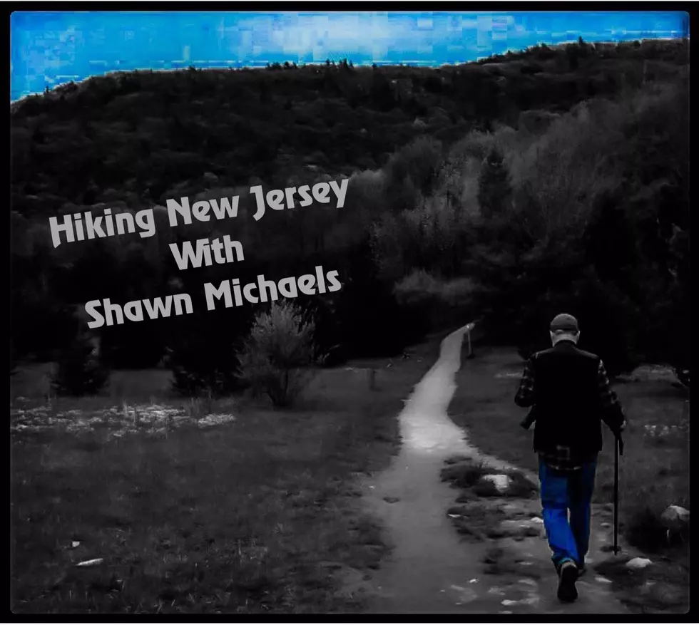 Hiking New Jersey & Beyond