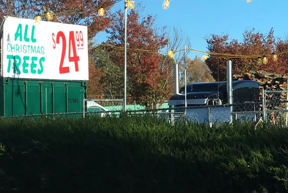 Christmas Trees For Sale Already in Ocean County