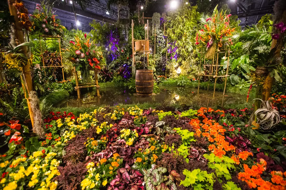 Jersey Shore Represented at Philly Flower Show