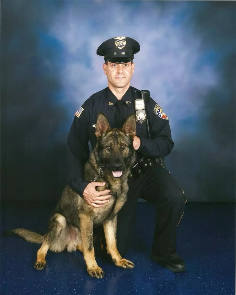 Monmouth County Sheriff&#8217;s Office mourns loss of K-9 Nanook