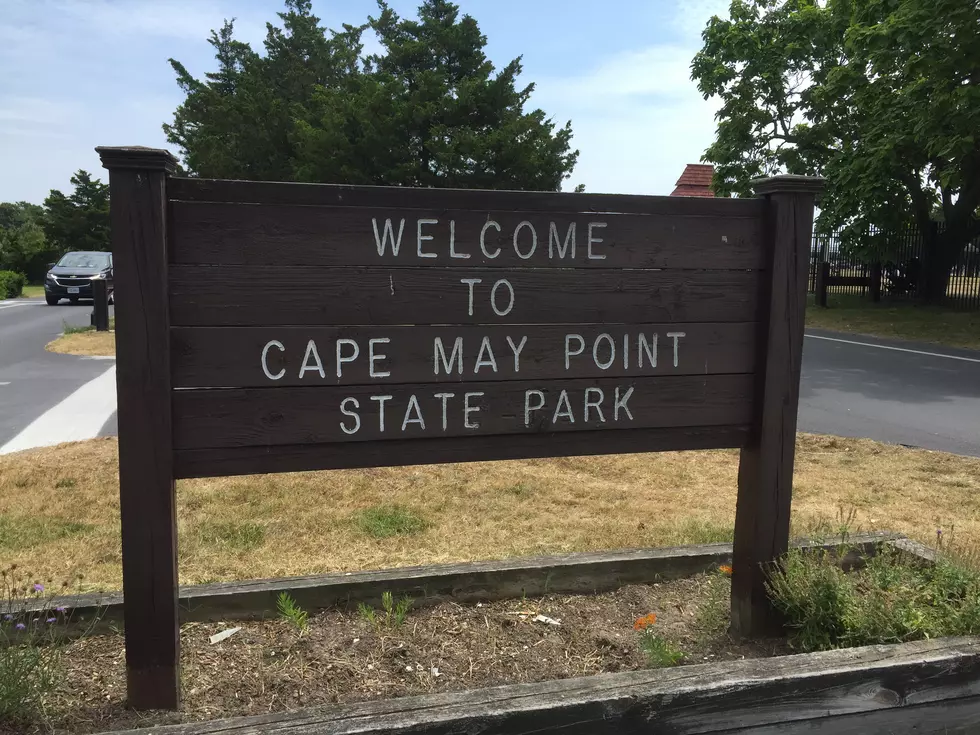 Hiking New Jersey: Cape May State Park 