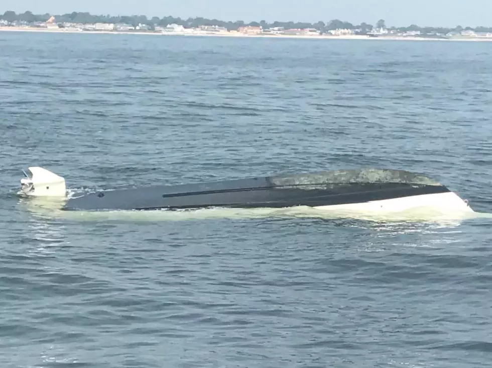 Giant whale causes boat to capsize in Monmouth County