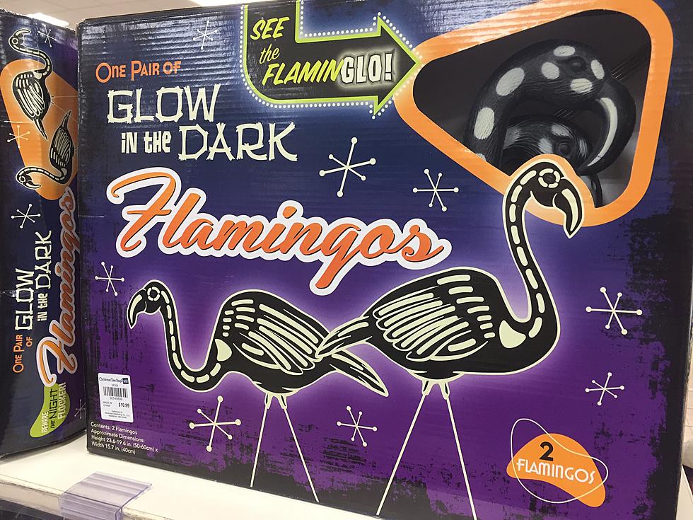 What is This! Are Halloween Flamingos Too Much? [OPINION]