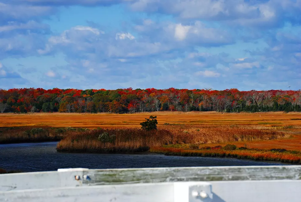 More Colors of Autumn at the Jersey Shore [VIDEO]