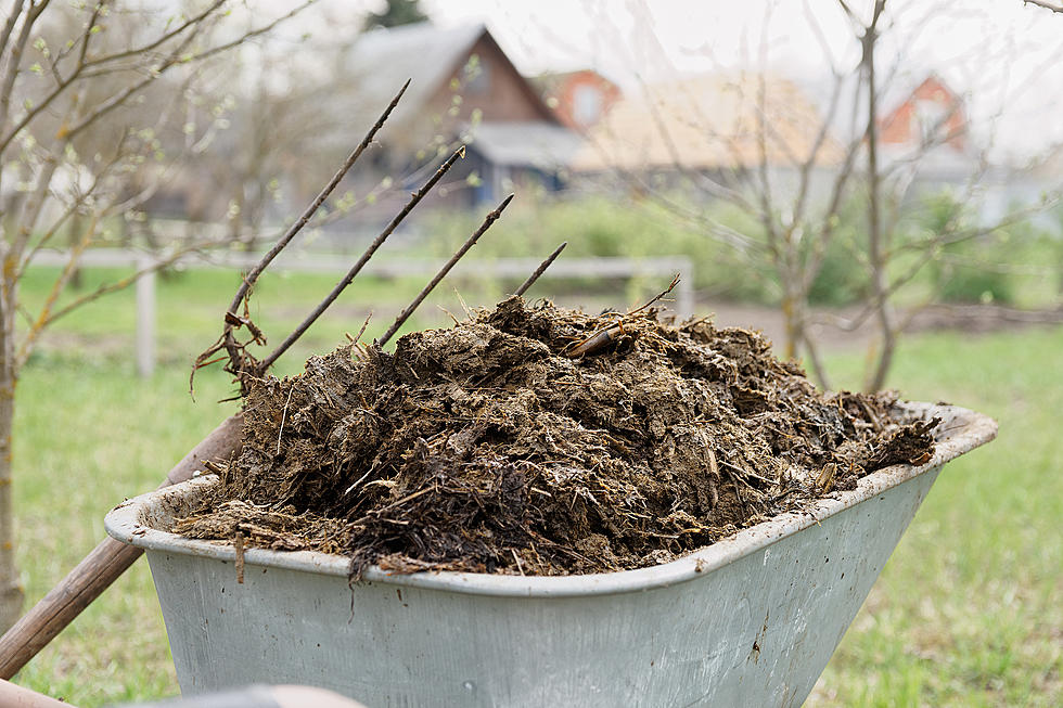 No autism next door: NJ nonprofit sues neighbors over manure vandalism