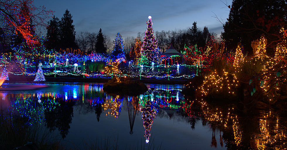 Last Call &#8211; Show Us Your Holiday Lights And Win!