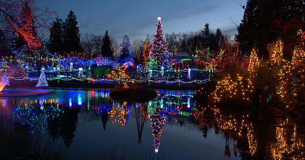 Last Call - Show Us Your Holiday Lights And Win!