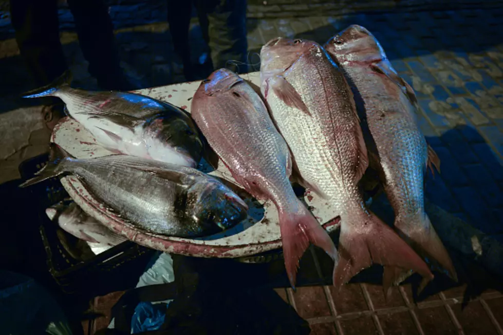 PETA posts billboard in Stafford Twp. urging people not to eat fish