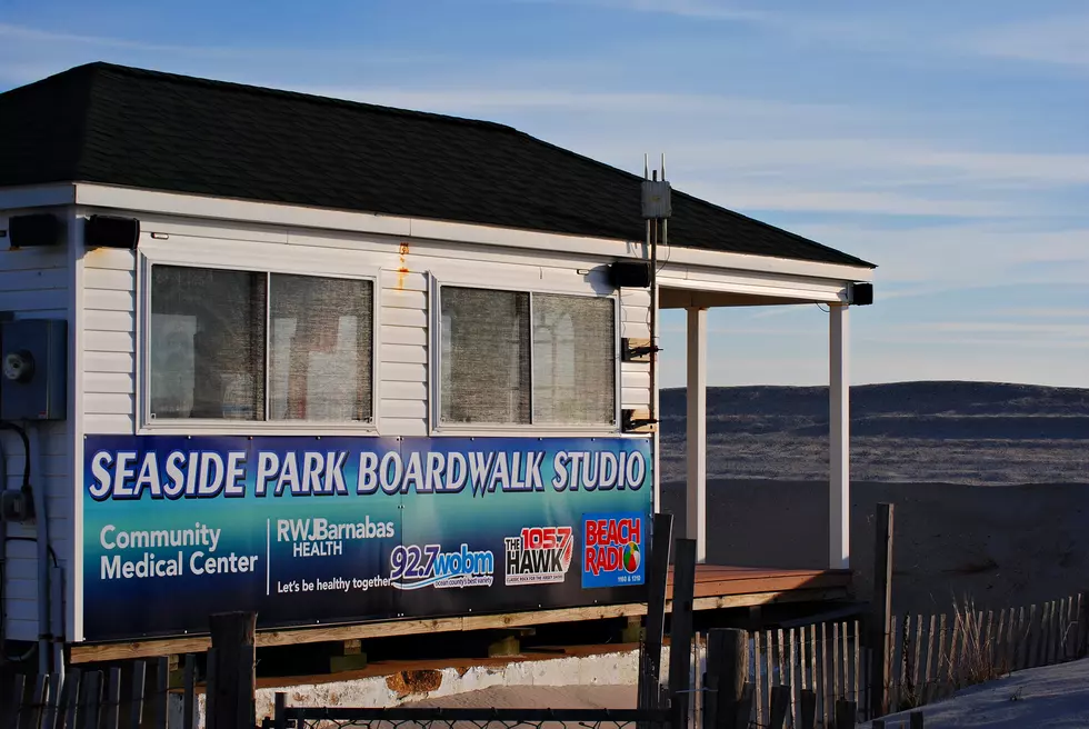 The Hawk Returns To The Seaside Park Boardwalk Studio