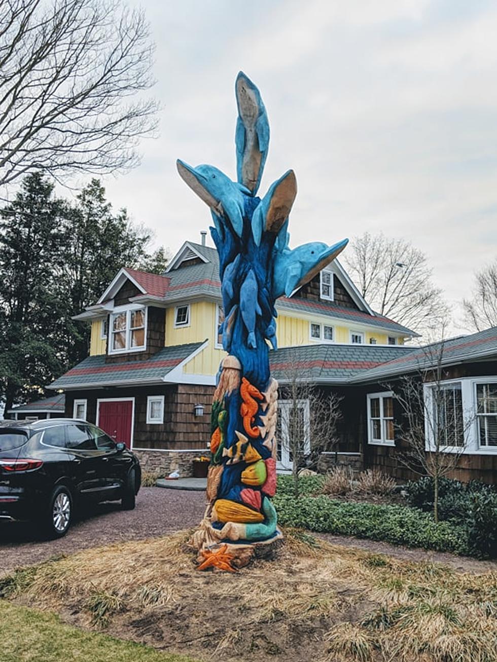 Have You Seen This Amazing Tree at the Jersey Shore
