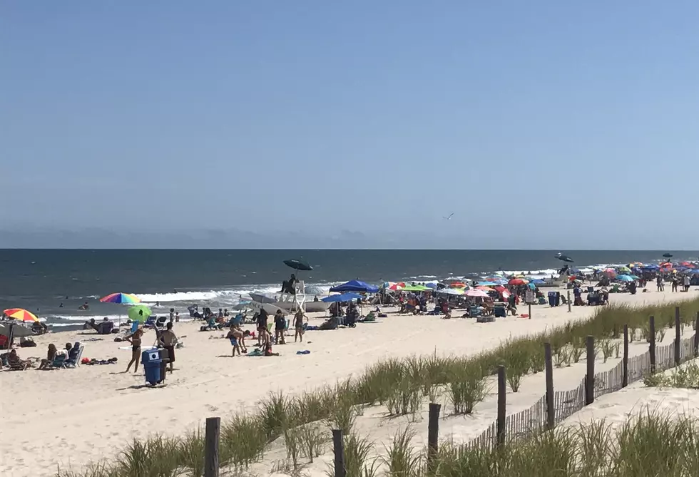 Seaside Park Releases Summer 2020 Reopening Plan