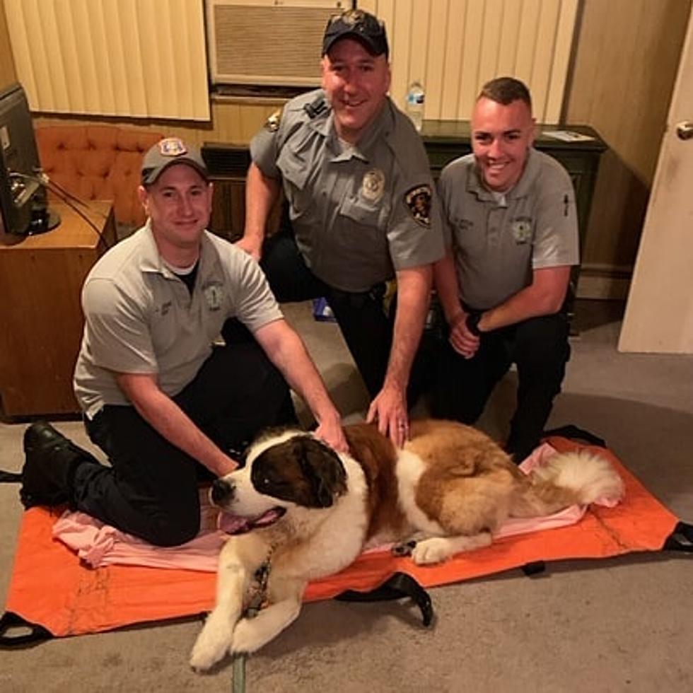 Toms River Police Officer, EMT’s carry dog back home for elderly resident