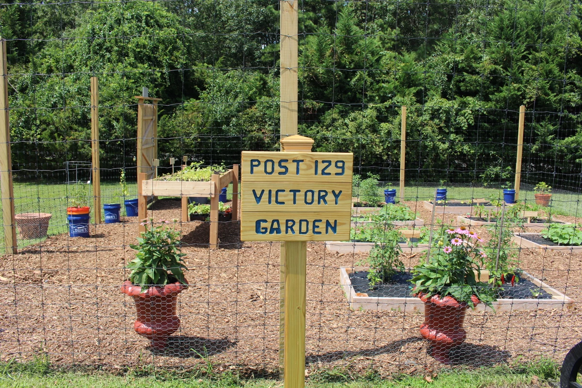 Toms River's Victory Garden To Supply Veterans With ...