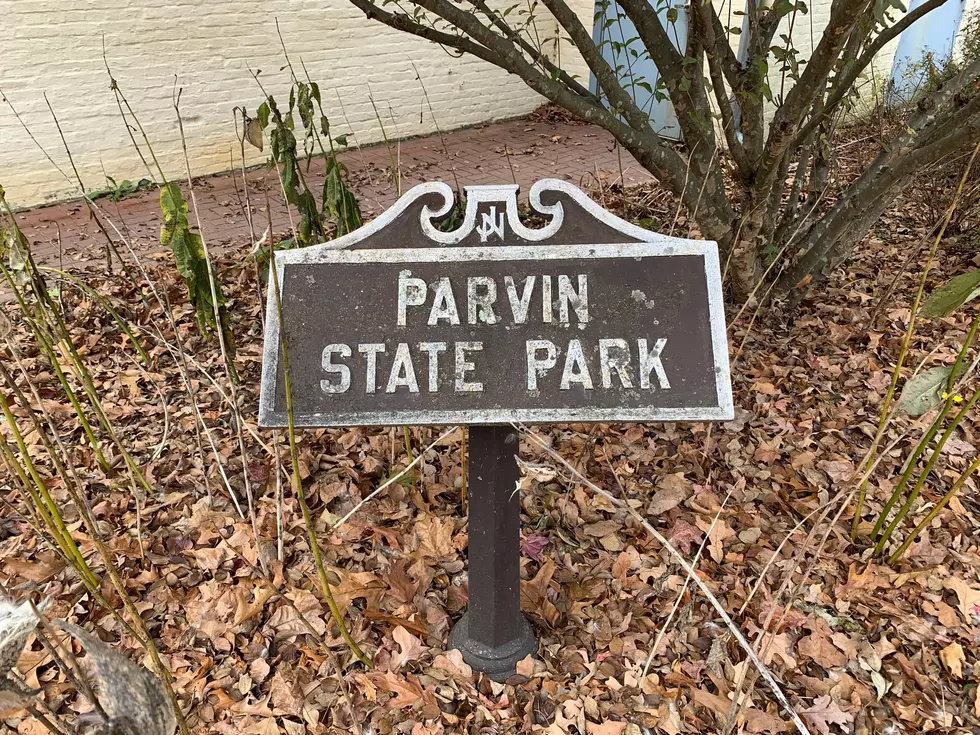 Hiking NJ: Parvin State Park