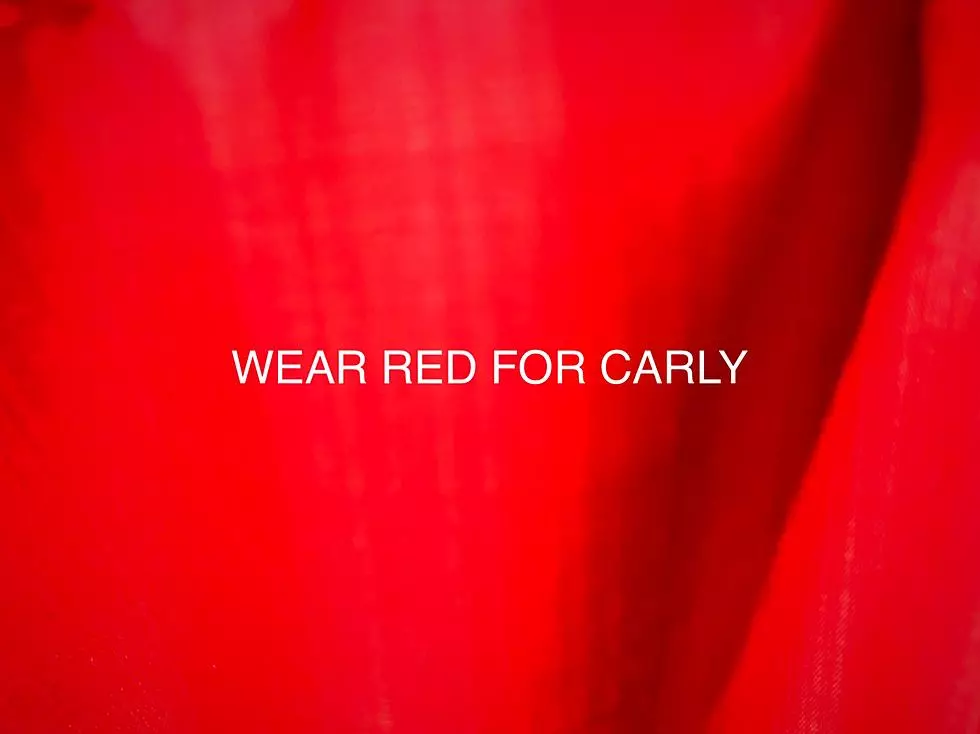 It’s Wear Red Day TODAY in Berkeley Township for “Carly Day”