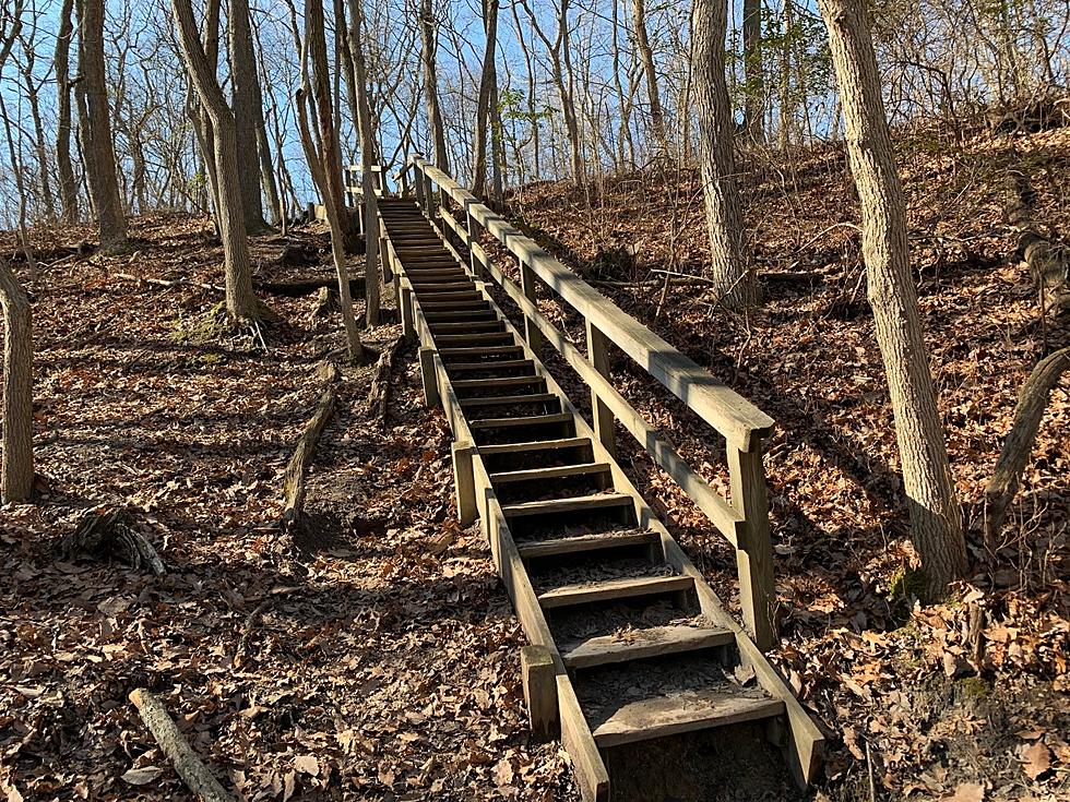 Hiking NJ: Cheesequake State Park in Matawan