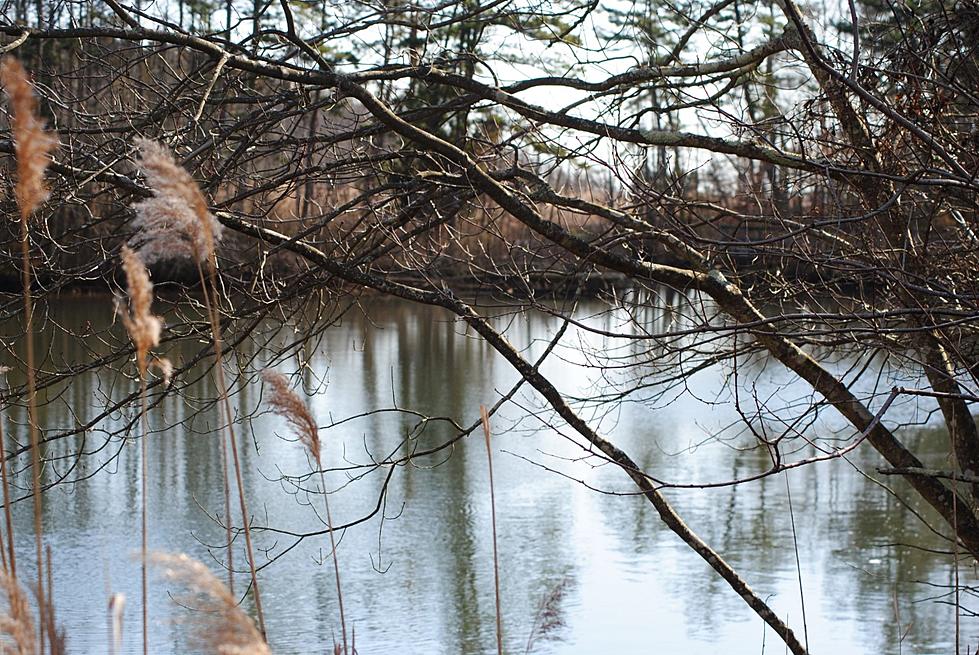 Hiking NJ: Eno's Pond County Park in Forked River