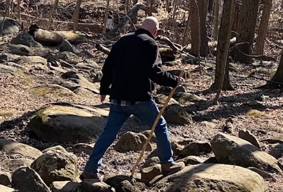 Hiking NJ: Sourland Mountain Preserve in Somerset County [VIDEO]