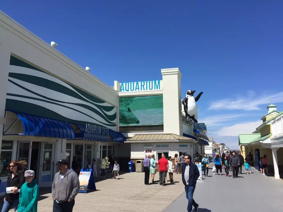 Point Pleasant Beach will Re-Open Beaches and Boardwalk Friday