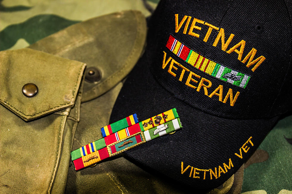 Watch Today's Vietnam Veterans Remembrance Ceremony  
