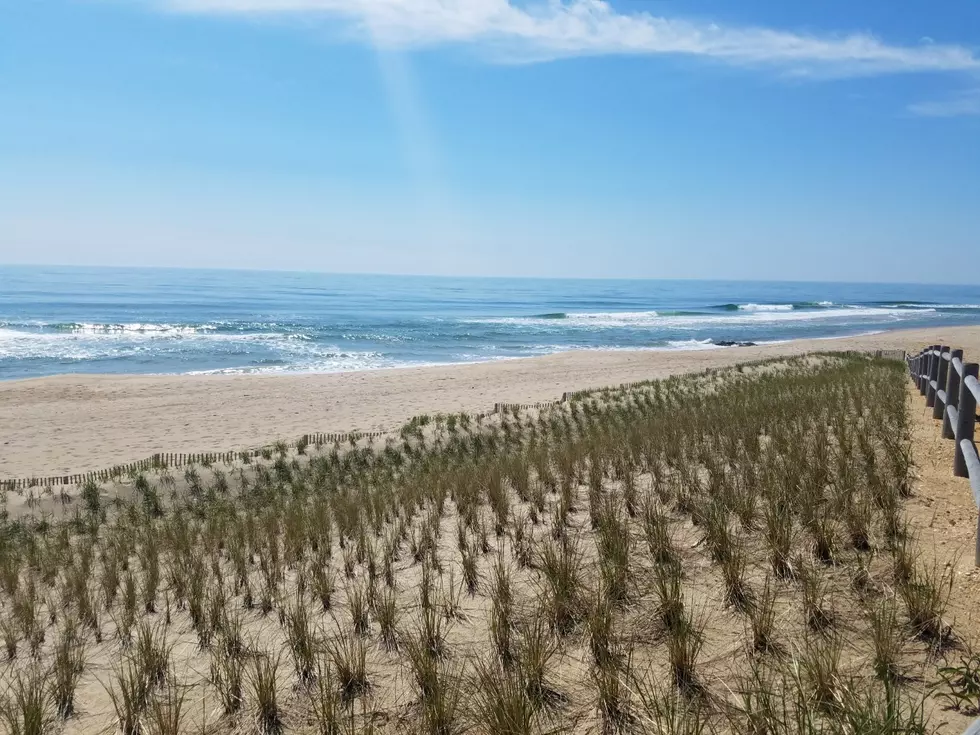 Here are 100 reasons why New Jersey has the best beaches out there